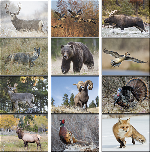 Great Lakes Sportsman <br> Spiral Bound Wall Calendar for 2022